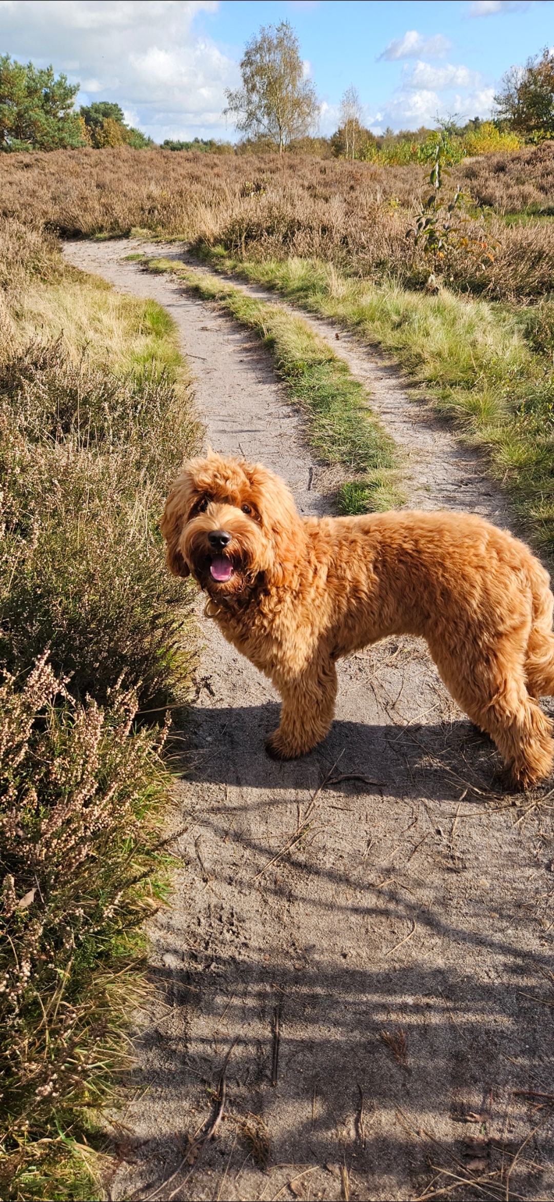 screenshot 20250716 183249 gallery