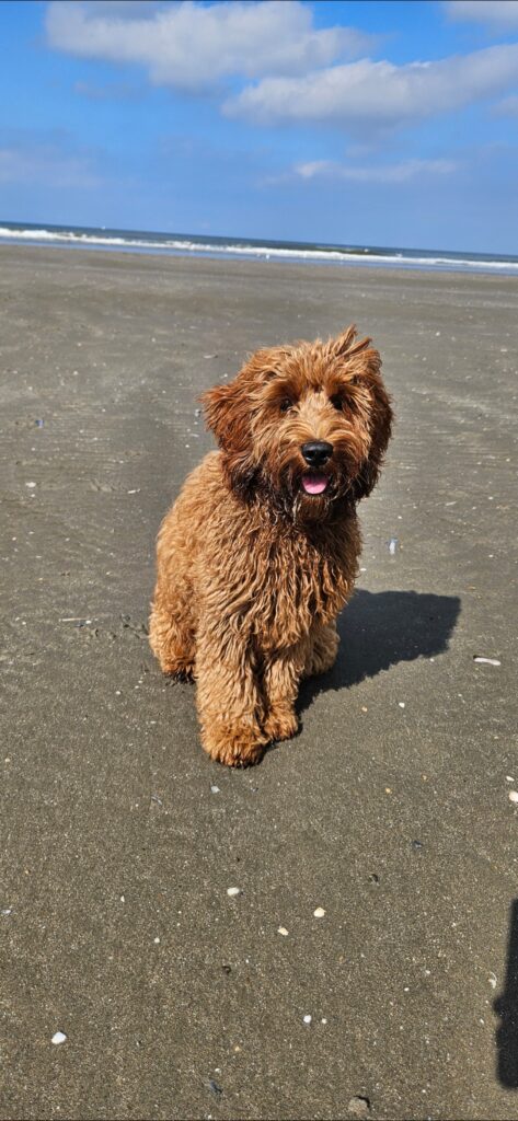 screenshot 20250716 183325 gallery