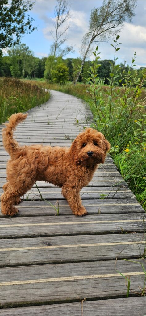 screenshot 20250716 183442 gallery