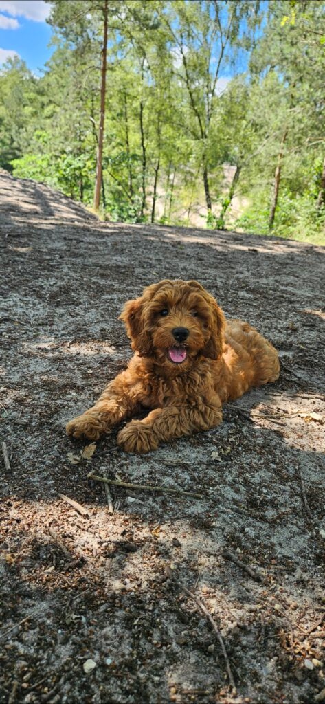 screenshot 20250716 193810 gallery