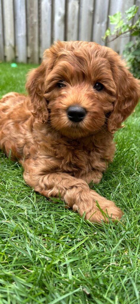 screenshot 20250716 193825 gallery