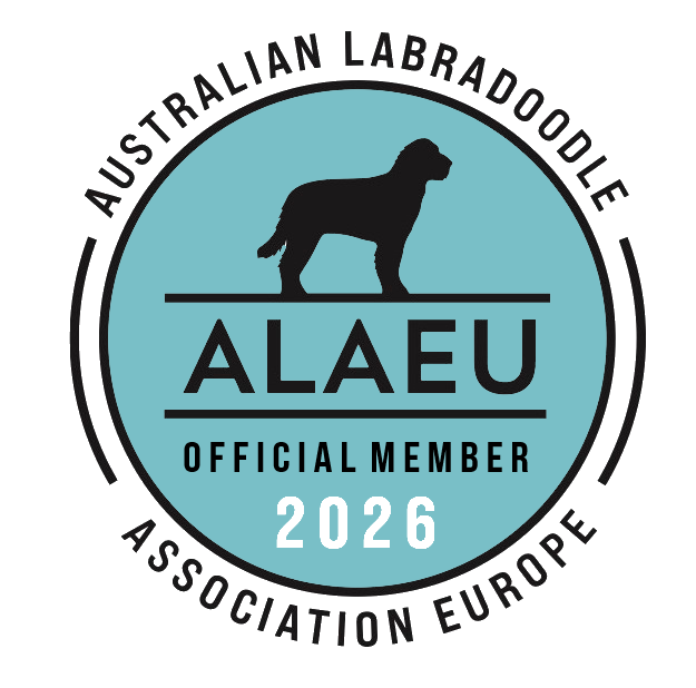 alaeu logo 2026 transparant